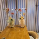 수야네식당 | 상견례의 시작- 상견례 PPT제작, 상견례 선물 수야난원 호접란 , 닥스 넥타이 후기