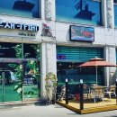 앵무세상 이미지