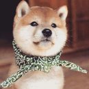 과천농협 하나로마트 이미지