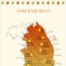 2018년 가을 단풍예상[케이웨더] 이미지