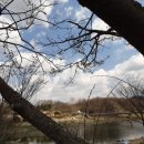 김미자농장 이미지