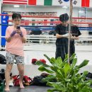 삼은약국 | 심기 대불편
