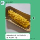 로얄수입품 | 프리미엄 수박 + 농도깊은 달콤함, 안창환 명인 로열대석 특대 자두 + 16브릭스 올레길 고당도 하우스 감귤