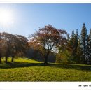 중광농장 이미지