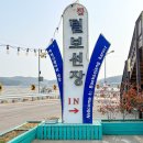 털보애견 네이버블로그
