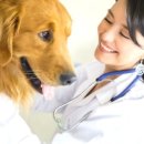 24시 건국 본 동물병원 이미지