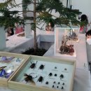 동구-22(대동천 이미지