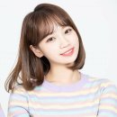 채원 이미지
