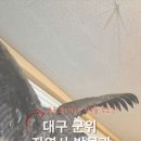 경북대학교자연사박물관 이미지