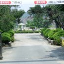 성전중학교 이미지