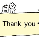 피스테일 | 홀리카홀리카 마이페이브 피스 젤테일 우드스모크 리뷰