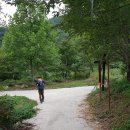 강선대민박 이미지