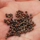 삼태리농장 이미지