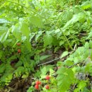 다향화원 이미지