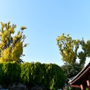 완도 향교 이미지