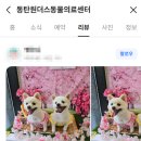 동탄원더스동물의료센터 이미지