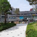 고덕성심소아청소년과의원 네이버블로그