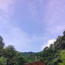 좌구산자연휴양림 이미지