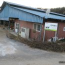 재덕목장 이미지