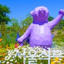 서울 식물원 =&#34;입장료 없어요&#34; 무료 개방 중인 12만 송이 꽃정원 이미지