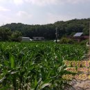 여주한강공인중개사사무소 이미지