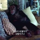 시티마트 이미지
