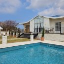 몰디브커피 이미지