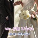 백장미 | 범일동 자유도매시장 포브플라워 가성비부케 봄봄플라워 옆집