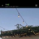 140호상회 이미지