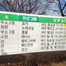 욕지테니스장 네이버블로그