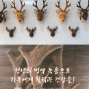 경희부흥한의원 이미지