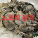 바이러스 | 약한 노로 바이러스 후기