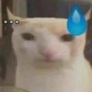 서현세탁소 | 꽃보다남자 정주행후기(1)