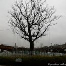 가방배수펌프장 이미지