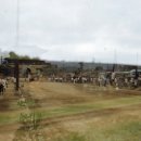 수원-1953 이미지