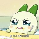 [광양맛집] 광양 중마동ㅣ국수나무ㅣ내돈내산 후기