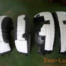 Evo-Luster 이미지