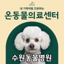 온동물의료센터 이미지