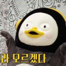 피트리움 이미지