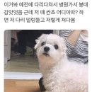 프리투어 이미지