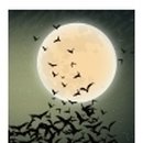 태화물산 이미지