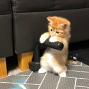 밸류온피트니스 이미지