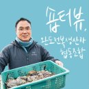 완도1호 이미지