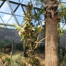 아가베 서울(Agave) 이미지