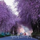 (주)해남땅끝리조트 이미지