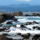 죽변 비소 제11호 | 울진여행(불영계곡.죽변.남사고유적)