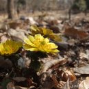 하느재농장 이미지