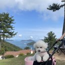 클럽이에스통영리조트 이미지