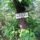 송원고등학교 이미지