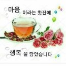 김종진태양광발전소 이미지